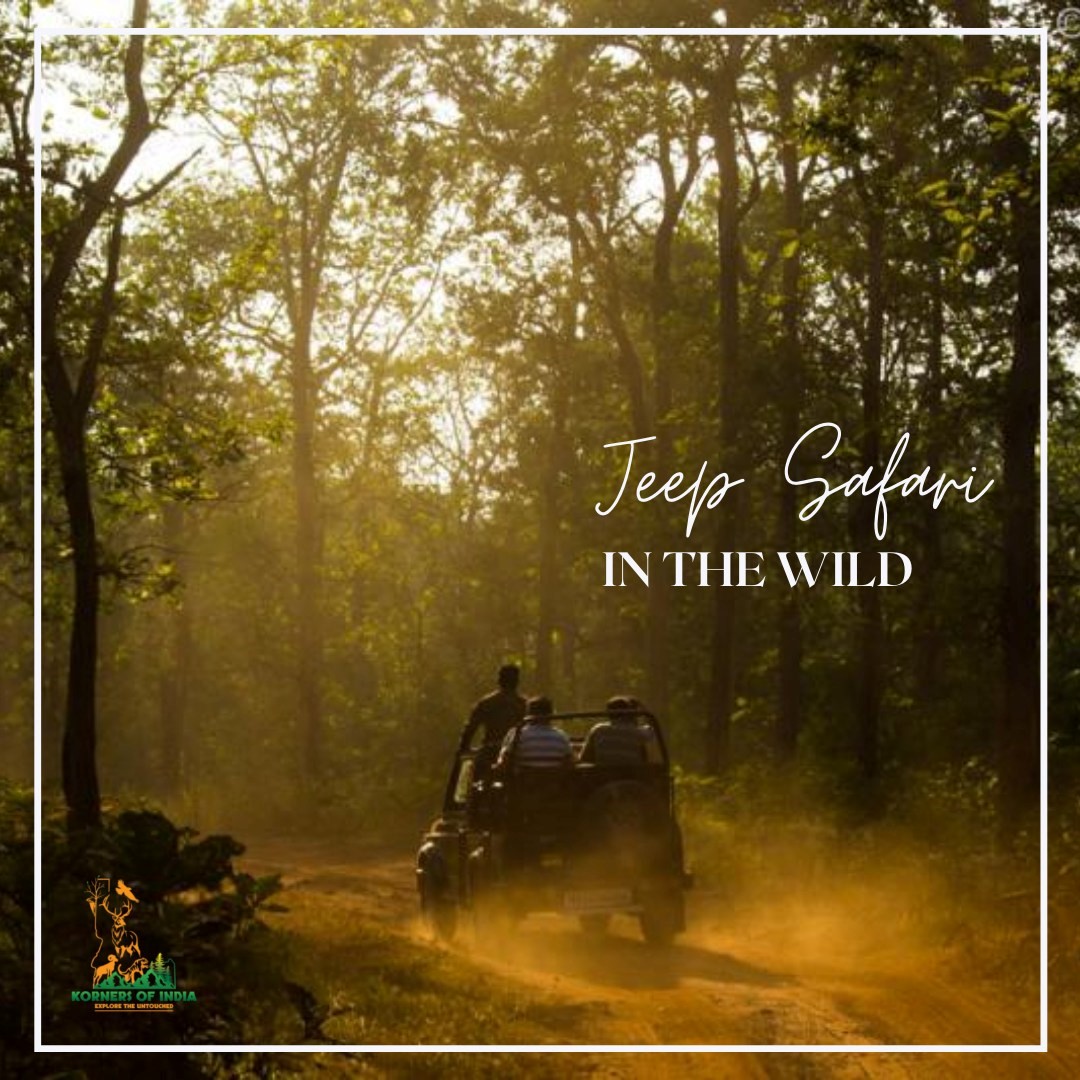 Best jungle safari in India